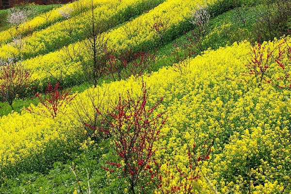 澳门十大娱乐平台入口网址：今年11.11有啥新“玩法”